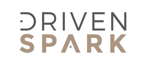SARLU DrivenSpark logo