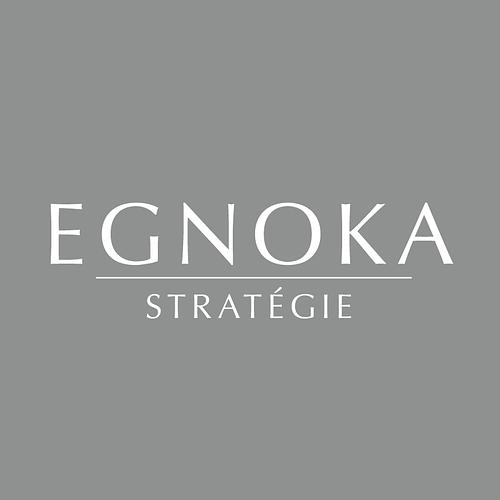 SAS Egnoka Stratégie logo