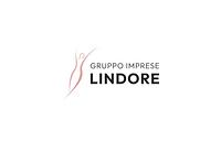 Limited Company Gruppo Imprese Lindore Srls logo