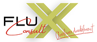 SASU Flux Consult logo